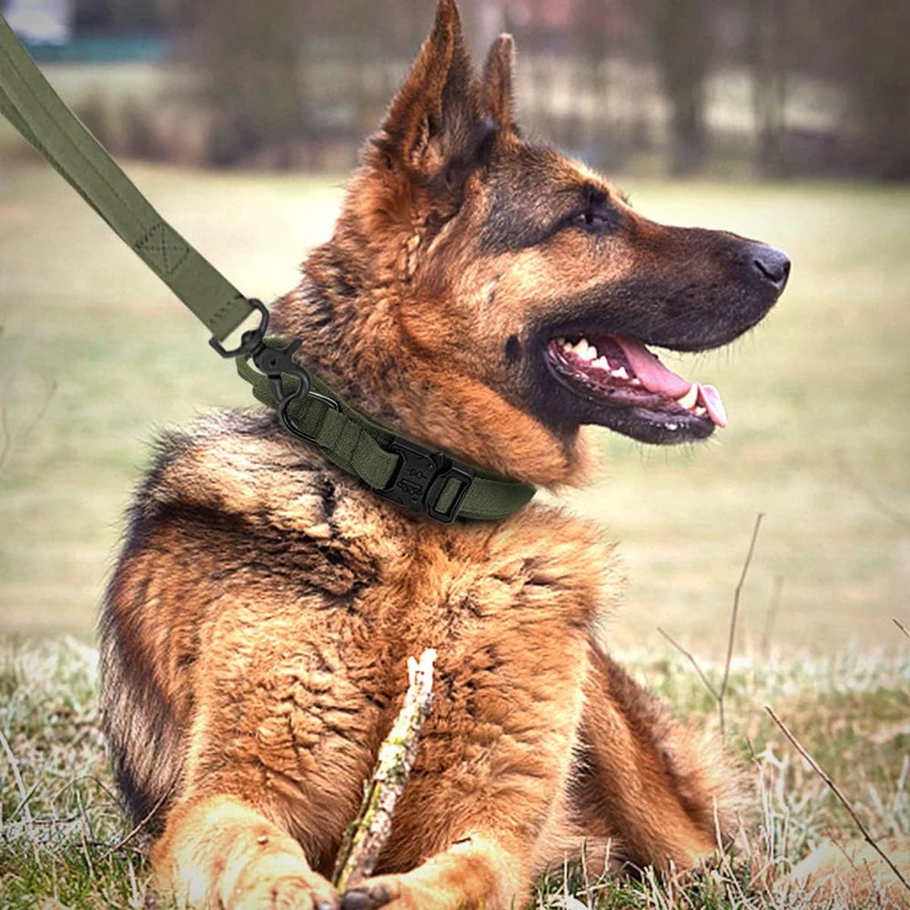 Tactical Dog Collar