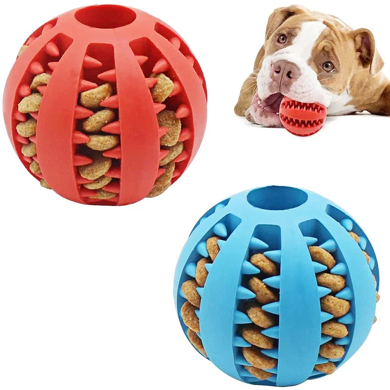 Dog Ball Toys