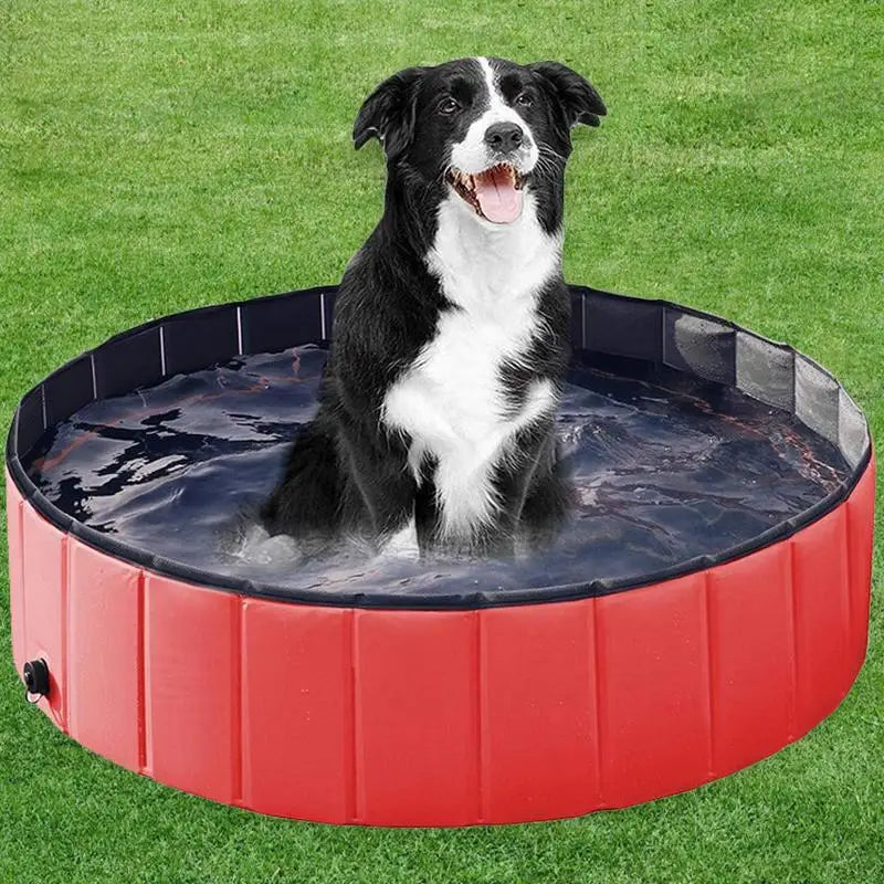 Portable Dogs Kiddie Pools